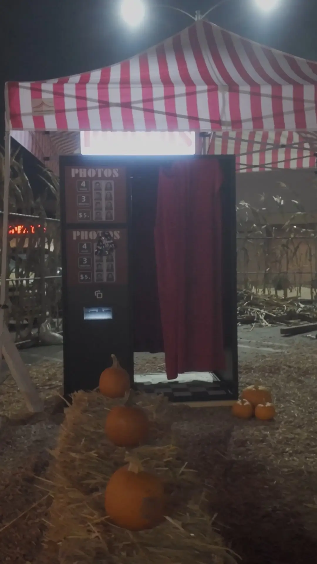 Pa's Pumpkin Patch: still 2