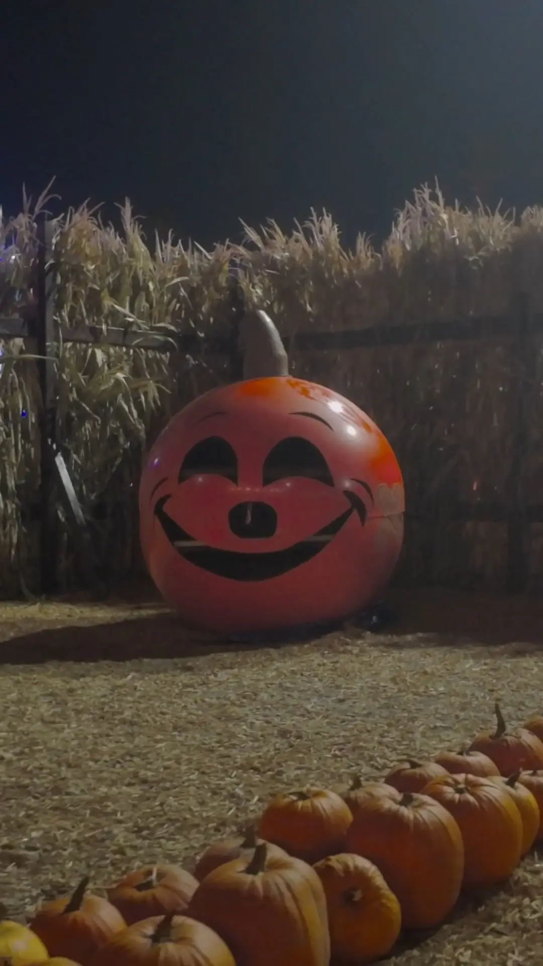 Pa's Pumpkin Patch: still 3